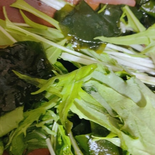海藻と水菜のサラダ♡簡単♡節約レシピ